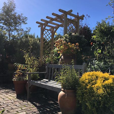 Anne'S House Bed & Breakfast Hastings Dış mekan fotoğraf